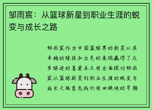 邹雨宸：从篮球新星到职业生涯的蜕变与成长之路