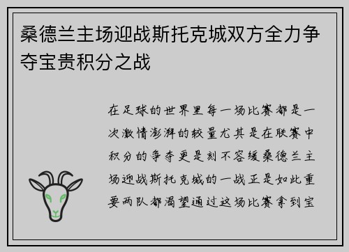 桑德兰主场迎战斯托克城双方全力争夺宝贵积分之战