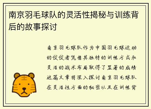 南京羽毛球队的灵活性揭秘与训练背后的故事探讨