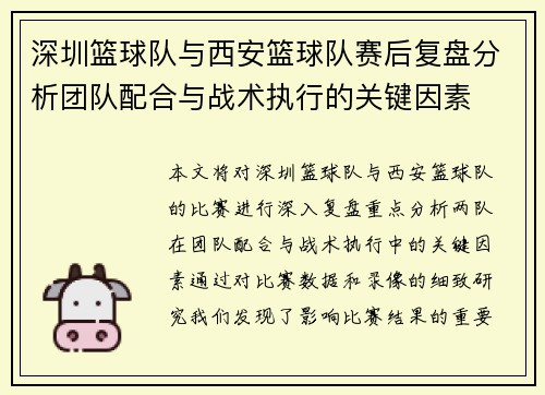 深圳篮球队与西安篮球队赛后复盘分析团队配合与战术执行的关键因素